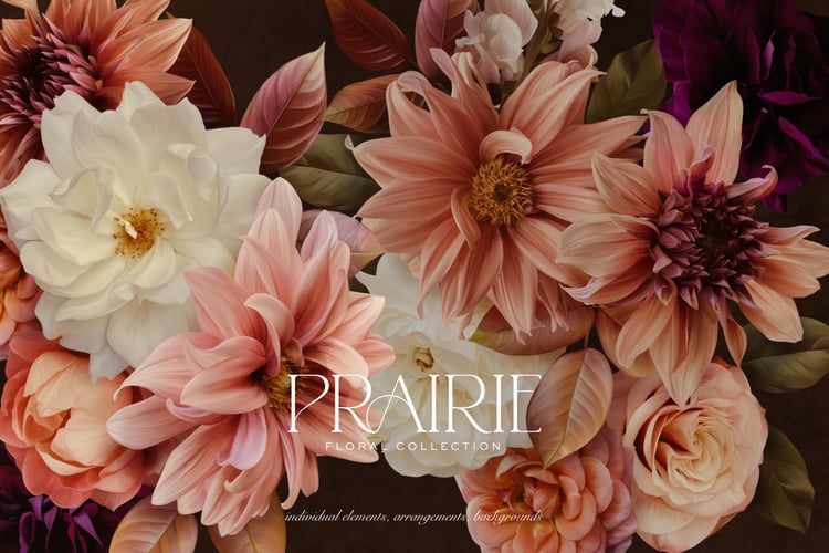Pink peach and white flower graphics with the words Prairie Floral Collection