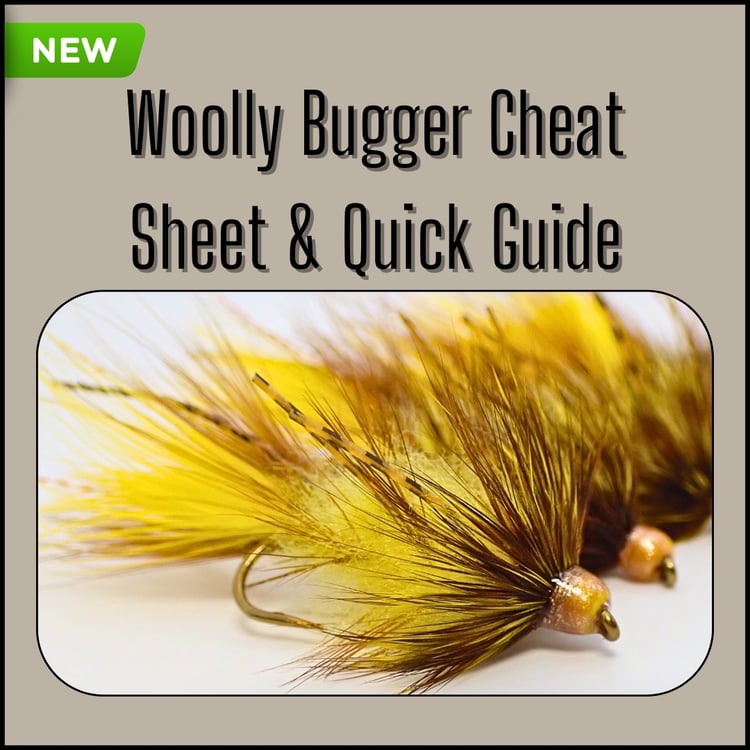Woolly Bugger cheat sheet and quick guide written by fly tying instructor Matt Campbell.