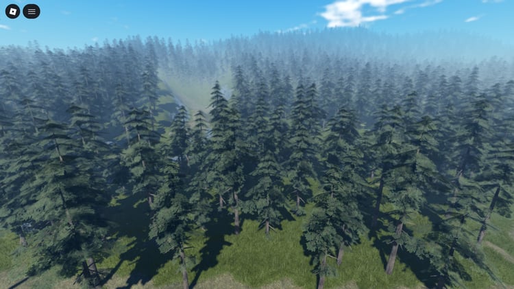 Massive Roblox forest terrain with dense trees