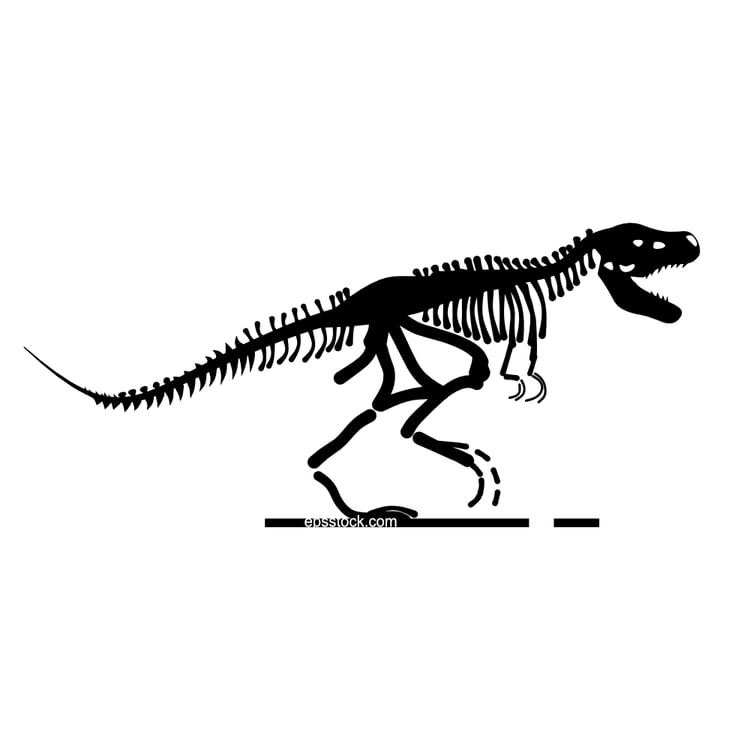 Tyrannosaurus Rex Skeleton