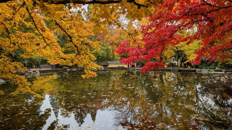 Cover art for All the Town’s a Stage audio walking tour in Ashland Oregon featuring Lithia Park