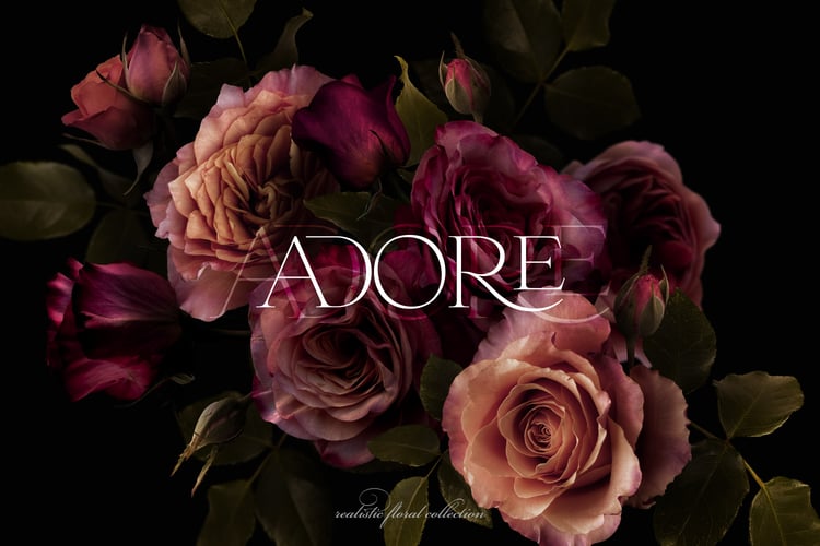 Dark and moody pink rose digital graphics on a black background with the word Adore