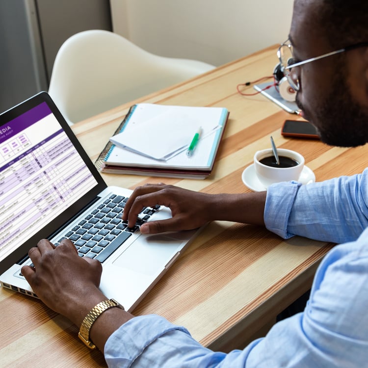 Using A Maven's Digital Marketing Audit Console