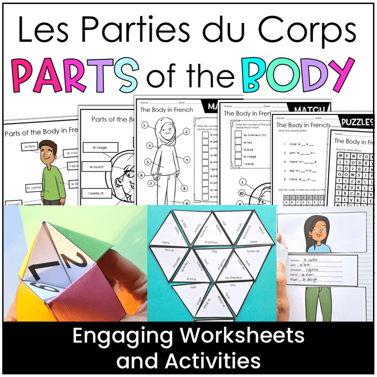 Parts of the body in French worksheets and activities