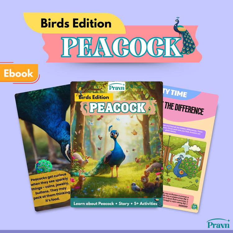 Peacock | Birds Edition | Product Image 1