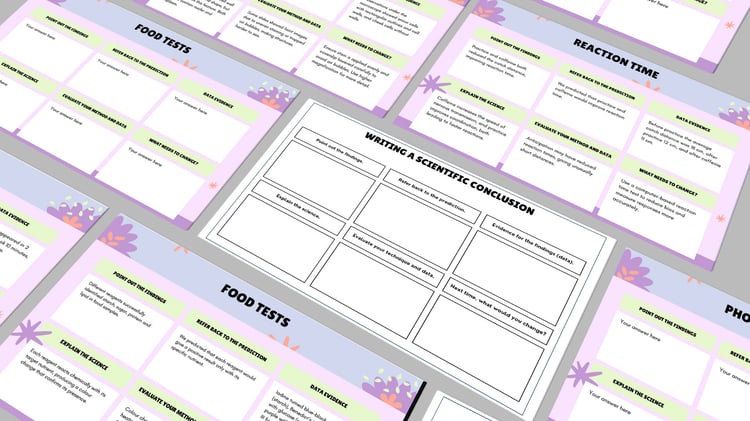 24-page biology 6MQ practice pack with photosynthesis and enzymes conclusions