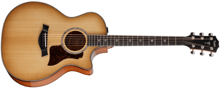 Auditorium Acoustic Guitar