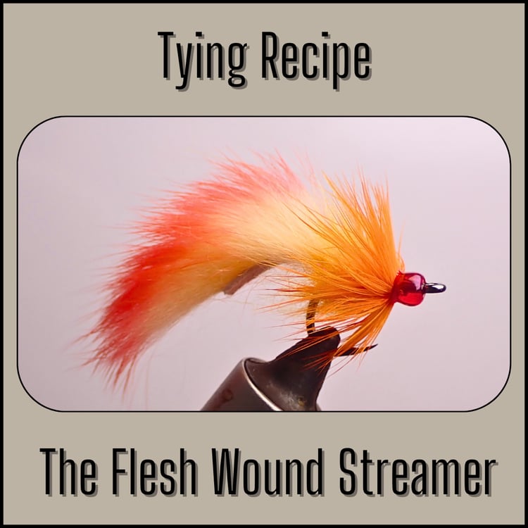 Tying recipe for the Flesh Wound streamer fly, an Alaska flesh pattern for fly fishing for trout and dolly varden.