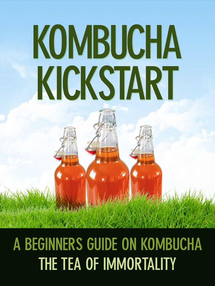 Kombucha beginner guide eBook for home brewing