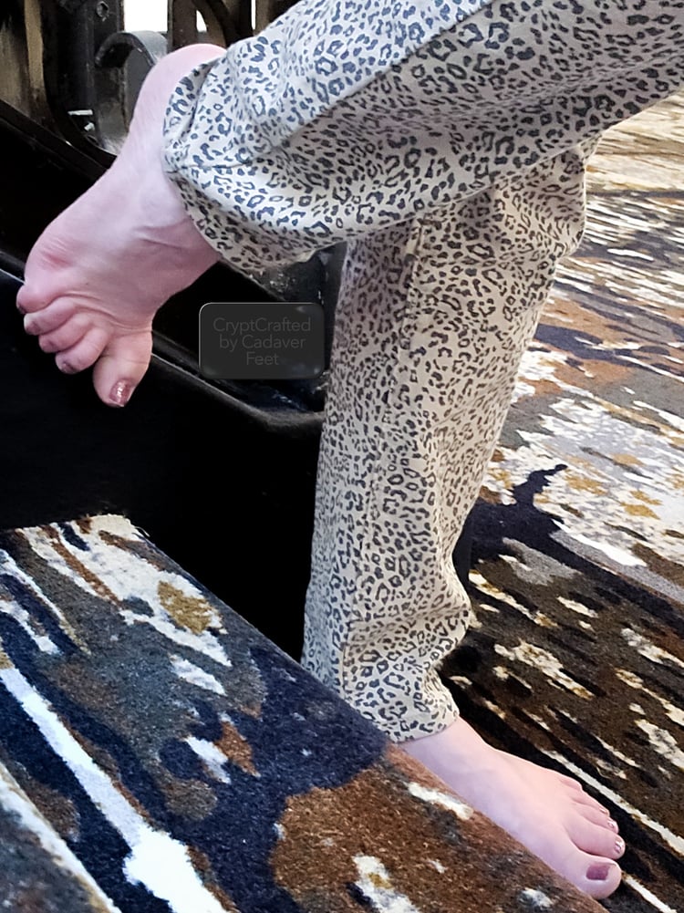 pale female feet resting on metal stair rail and abstract dark carpet while wearing leopard pants