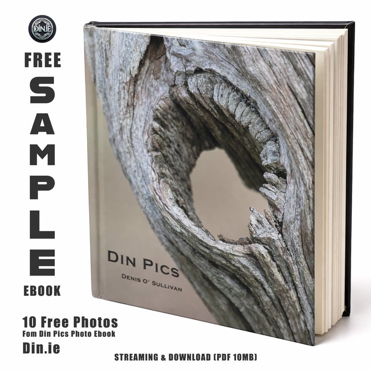 Din Pics Free 10 Photo Sample Ebook