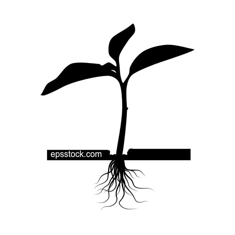 Sprout emerging through cracked earth