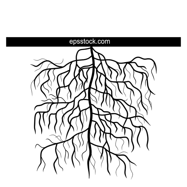 highly branched root system