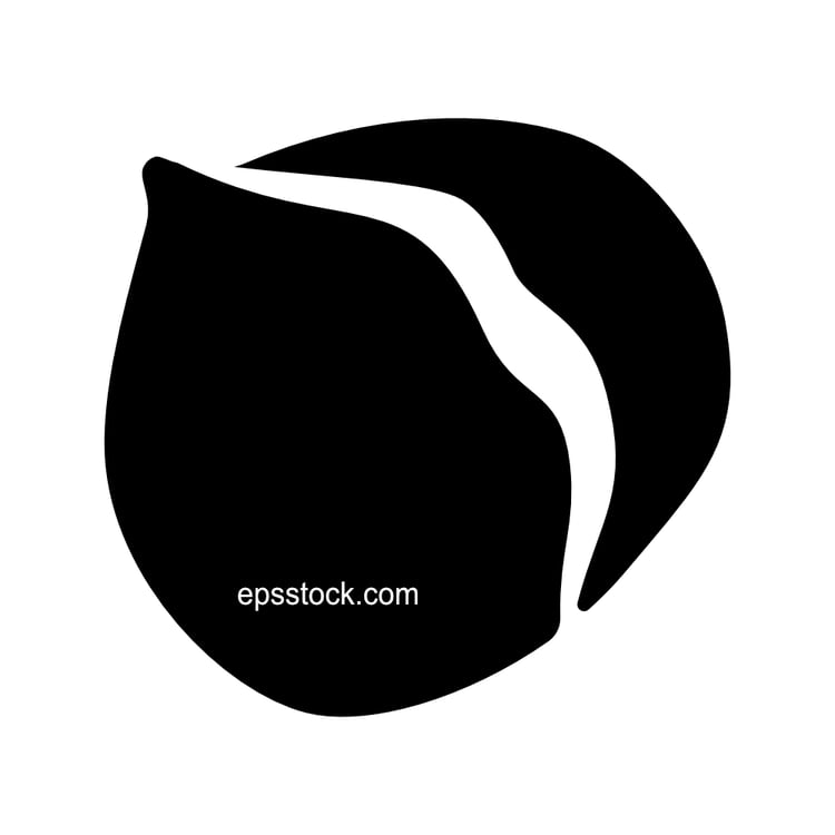 peeled roasted chestnut