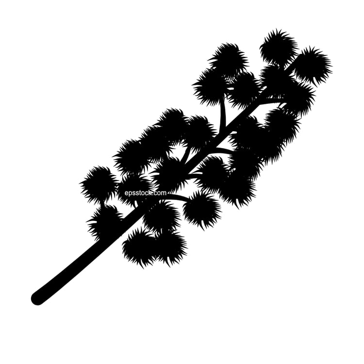 castor-oil plant flower