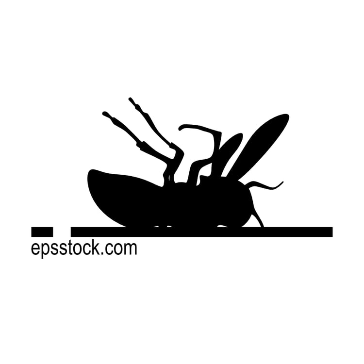 dead hornet, black isolated silhouette