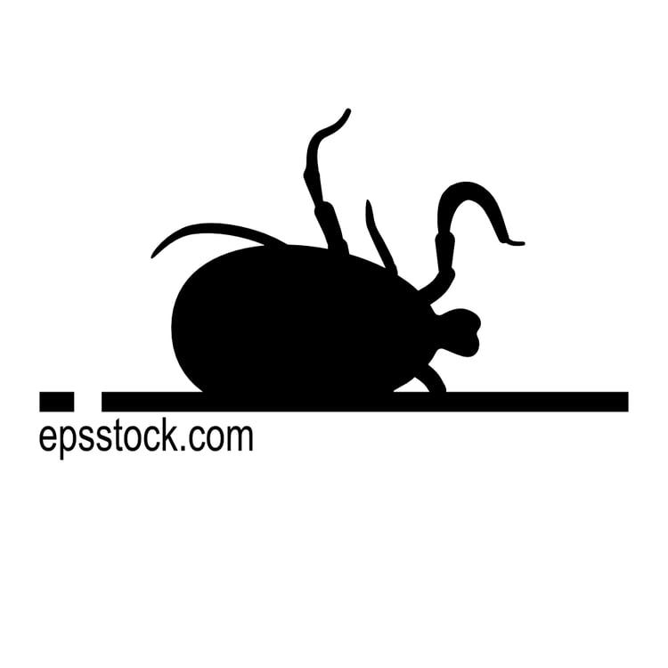 dead parasitic Tick