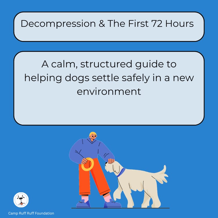 Decompression and First 72 Hours course cover showing a calm dog resting in a safe, quiet home environment.