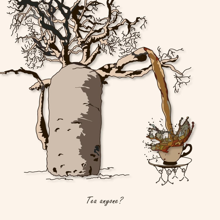 tea pot baobab tree