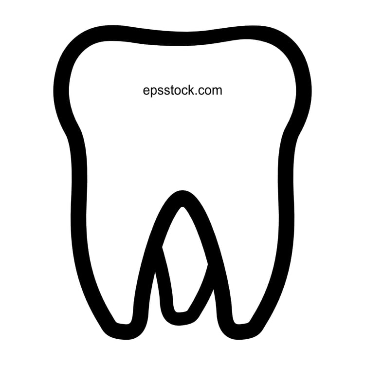 three-rooted tooth