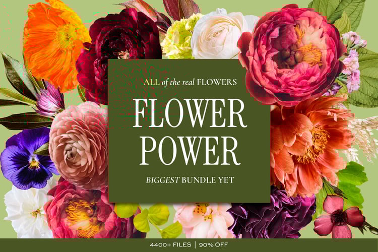 Multi colored digital floral graphics clip art