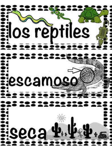 Reptiles / Los reptiles - Vocab Bundle and Literacy Centers - Spanish
