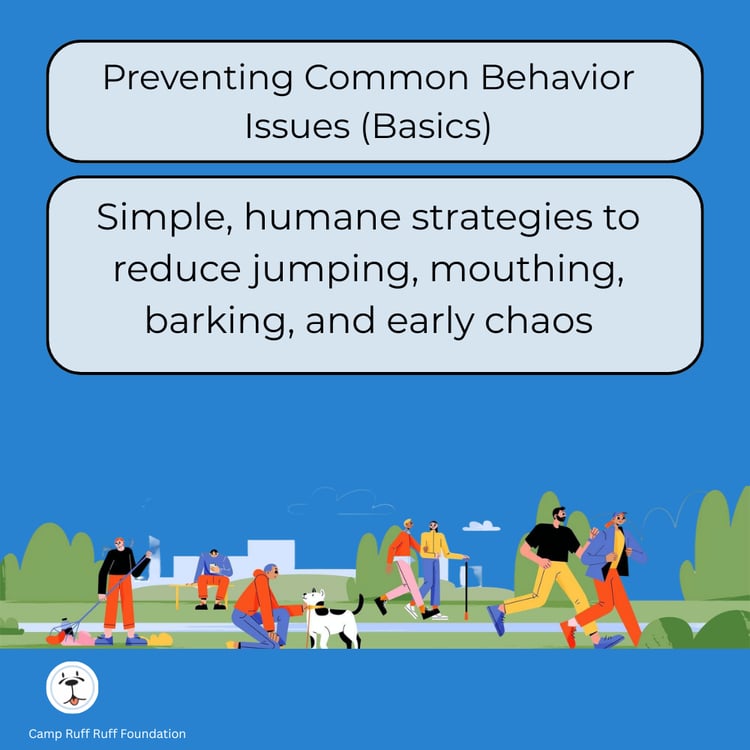 Preventing Common Behavior Issues (Basics) course cover showing a dog and simple cues for reducing jumping, mouthing, barking, and early chaos