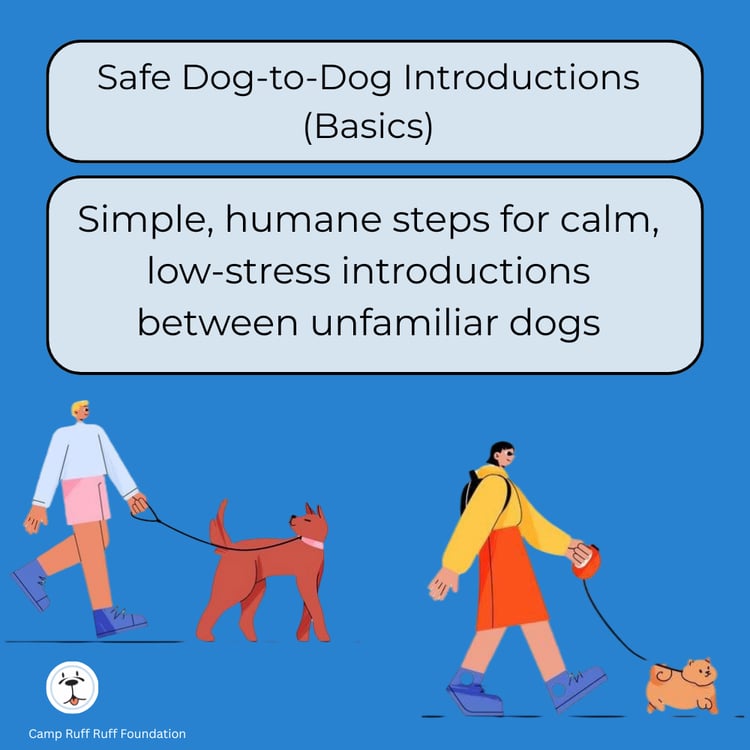 Safe Dog‑to‑Dog Introductions (Basics) course cover showing two dogs meeting calmly with guidance for low‑stress, safe introductions