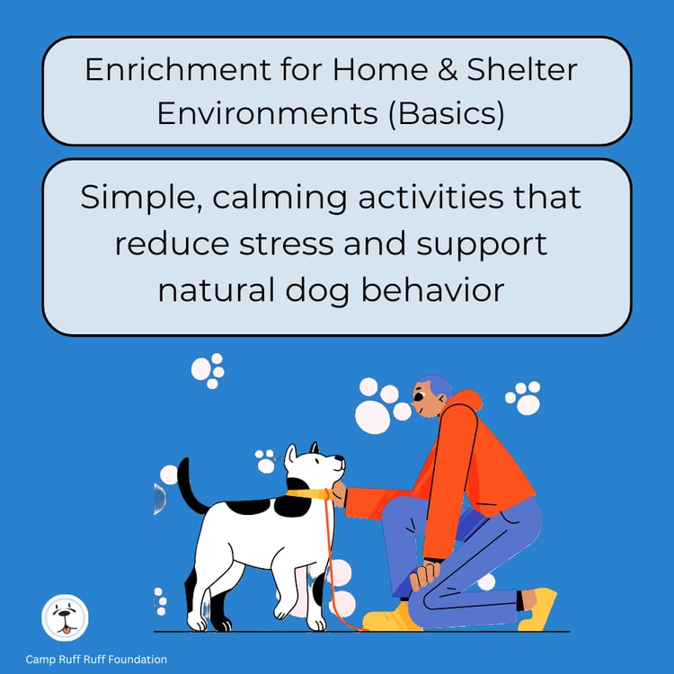 Enrichment for Home & Shelter Environments (Basics) course cover showing calming, low‑stress enrichment activities for dogs in homes and shelters