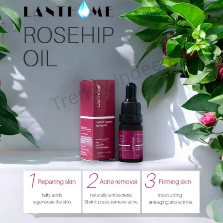 Lanthome rosehip oil skincare serum for face and body
