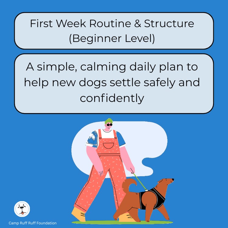 “First Week Routine & Structure (Beginner Level) course cover showing a calm, structured routine to help new dogs settle during their first week.”