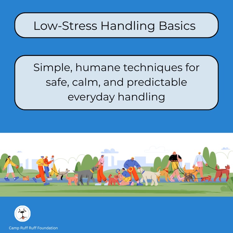 “Low‑Stress Handling Basics course cover showing calm, humane handling techniques for dogs in homes, shelters, and foster care.”