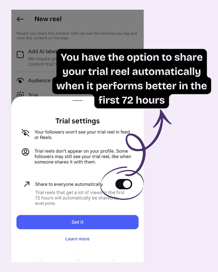 Instagram Trial Reel Settings