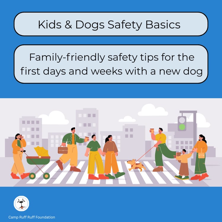 “Kids & Dogs Safety Basics course cover showing family‑friendly safety guidelines for calm, respectful interactions with dogs.”
