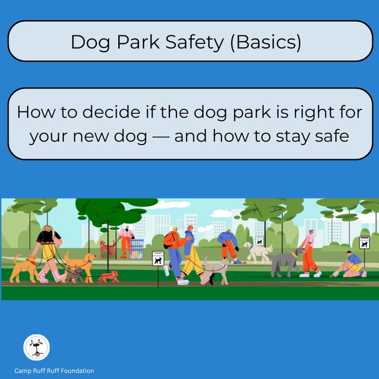 “Dog Park Safety Basics course cover showing calm, safe off‑leash play and guidelines for preventing conflicts at dog parks.”
