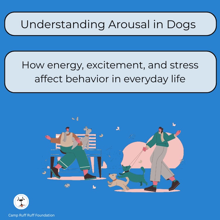 “Understanding Arousal in Dogs course cover showing beginner‑friendly guidance on recognizing rising arousal and supporting calmer behavior.”