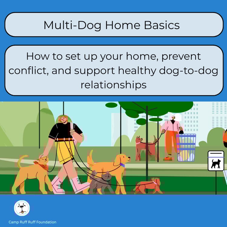 “Multi‑Dog Home Basics course cover showing beginner‑friendly guidance for safe, low‑stress living with more than one dog.”