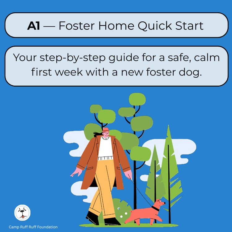 “A1 Foster Home Quick Start course cover featuring calm, friendly dog and clean modern design representing safe foster home routines and beginner guidance.”