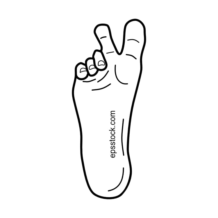 the foot shows two toes