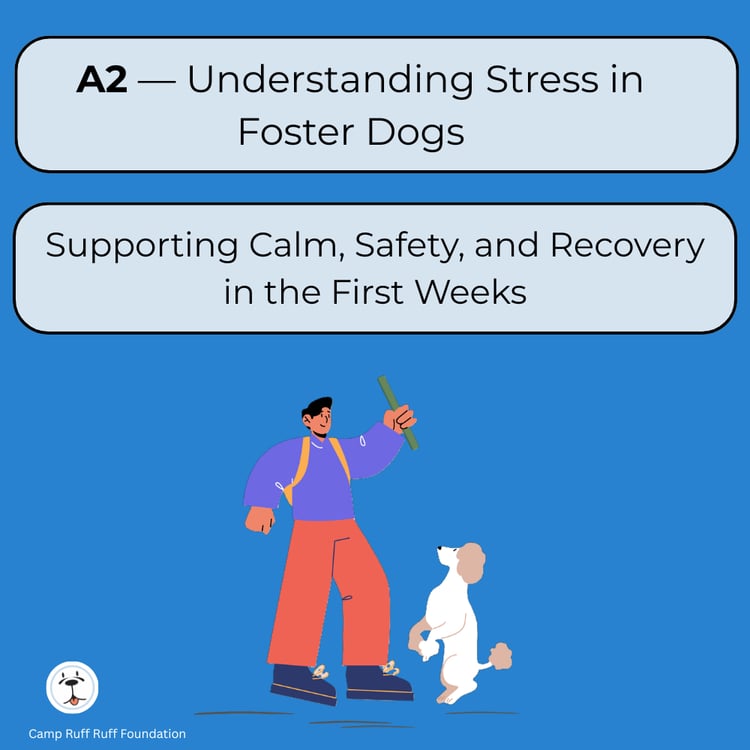 “Understanding Stress in Foster Dogs — beginner‑friendly nonprofit guide teaching early stress signals, common triggers, decompression, and safe foster transitions.”