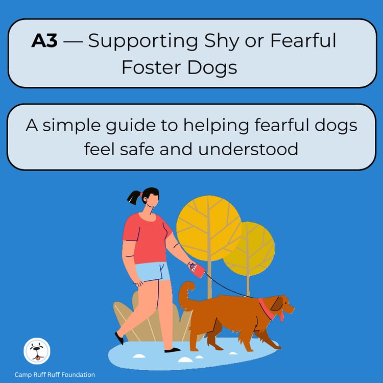 “Supporting Shy or Fearful Foster Dogs — nonprofit guide teaching fear signals, triggers, decompression, and confidence‑building for foster homes.”