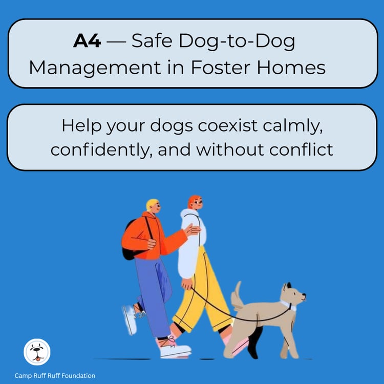 “Safe Dog‑to‑Dog Management — nonprofit guide teaching body language, safe introductions, play supervision, and conflict prevention for foster homes.”