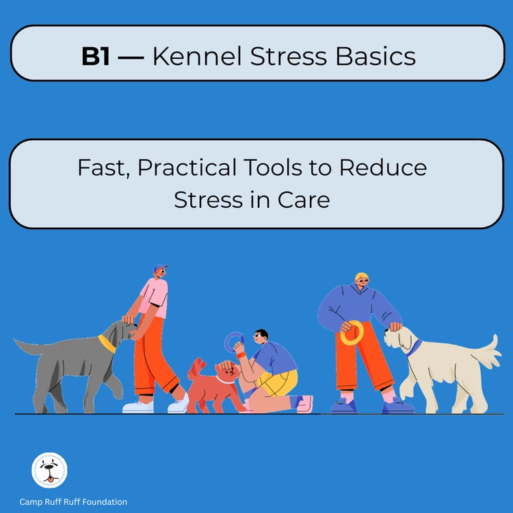 Cover image for “B1 Quick Start: Kennel Stress Basics,” a 1‑page guide for shelter and rescue staff on identifying and reducing kennel stress in dogs.