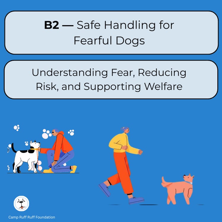 Cover image for “B2 Quick Start: Safe Handling for Fearful Dogs,” a 1‑page guide teaching shelter and rescue staff how to safely handle fearful or stressed dogs using low‑stress, humane techniques.