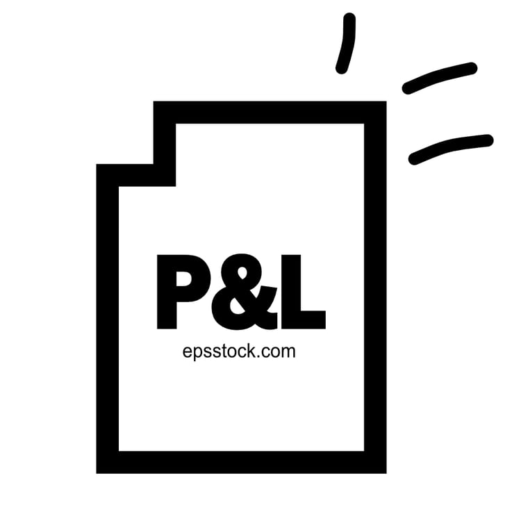 A Profit and Loss statement