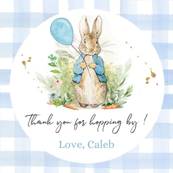 Peter Rabbit Favor Tags | Editable Blue Bunny Birthday Labels | Canva Template