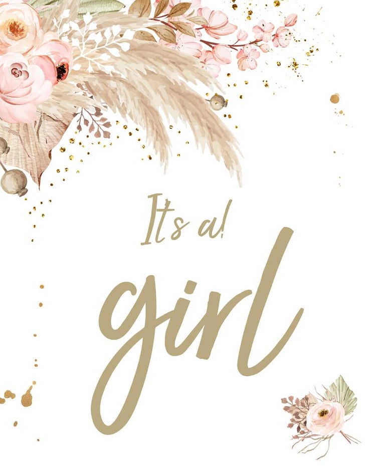 Boho Pampas Grass It’s a Girl Sign - Editable Canva Baby Shower Decor