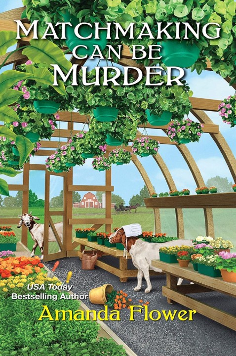 Matchmaking Can Be Murder - Amanda Flower
