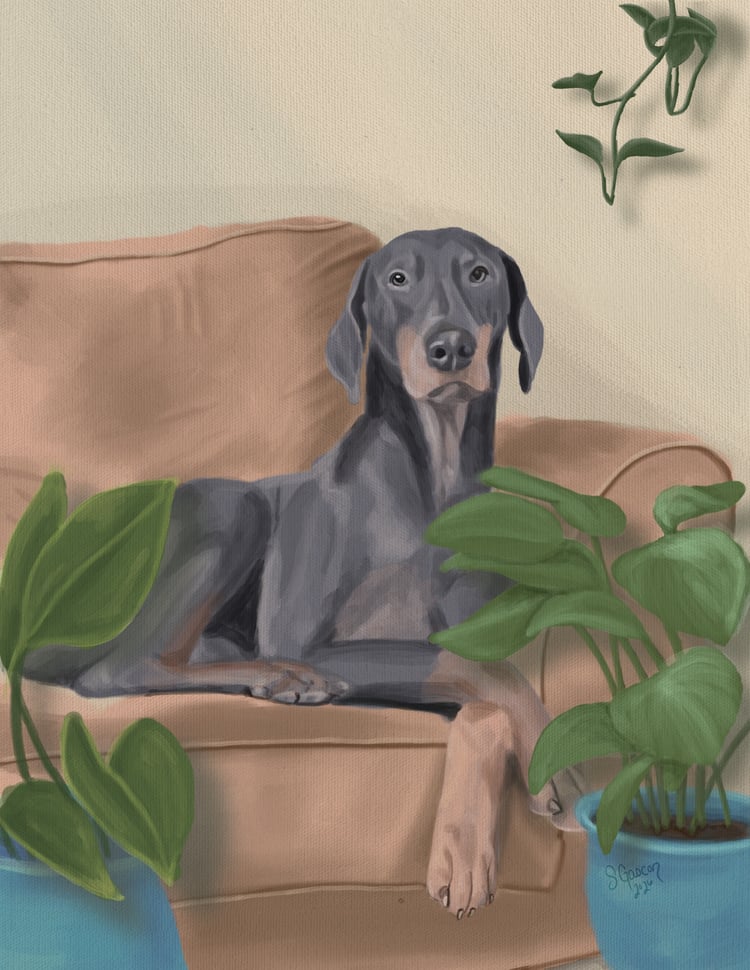 Doberman on a sofa with plants painting