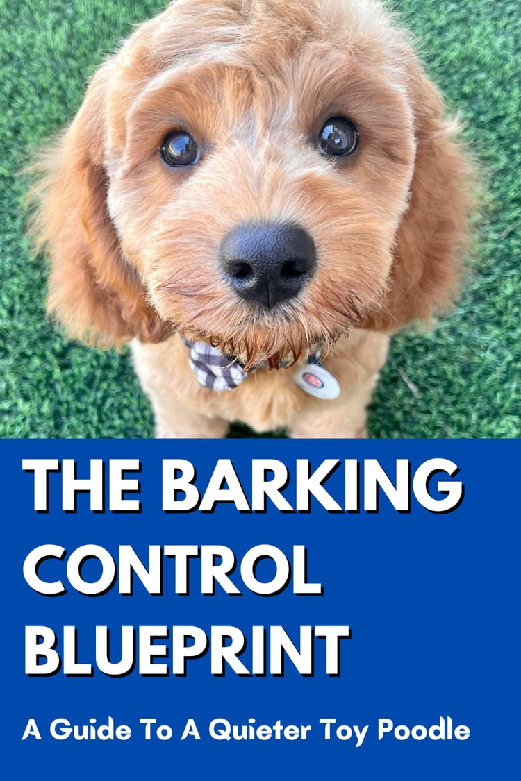 The barking control blueprint